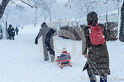 Father and mother pulling children in sleds during snowstorm Stock Photo