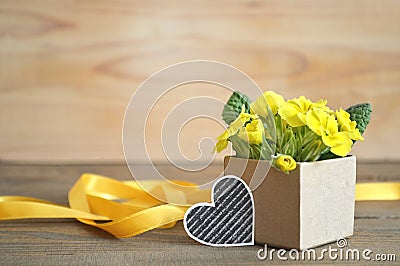 Father's Day gift: Yellow primrose flowers arranged in gift box Stock Photo