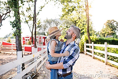 A father with small daughter walking outdoors on family farm. Stock Photo