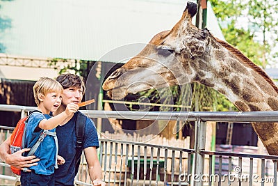 Father and son watching and feeding giraffe in zoo. Happy kid having fun with animals safari park on warm summer day Stock Photo