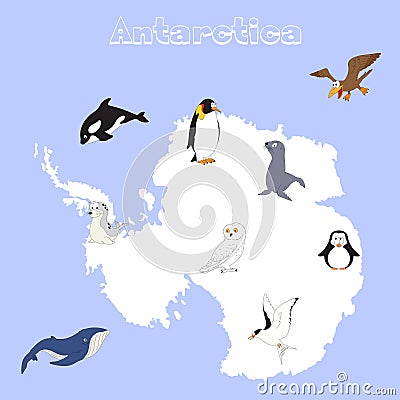 Fauna of Antarctica. Set of cartoon polar animals for babies and Vector Illustration