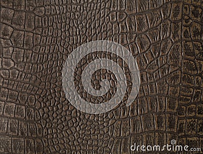 Faux alligator skin Stock Photo