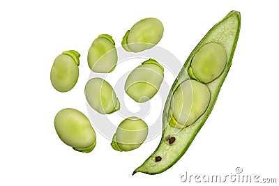 Fava beans and pod Stock Photo