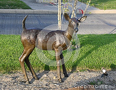 Fawn standing alertly, part of `A Wilderness Welcome` by Archie Saint Clair in the historic district of Grapevine Editorial Stock Photo