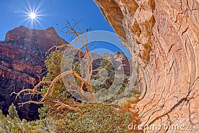 Fay Canyon Trail End Sedona AZ Stock Photo