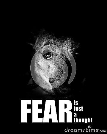 Fear is just a thought - inspirational photograph - fear motivational photo - don`t be afraid - be brave Stock Photo