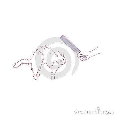 Fearing Cat was Hit by Human. Vector illustration. isolated on White Background. Vector Illustration