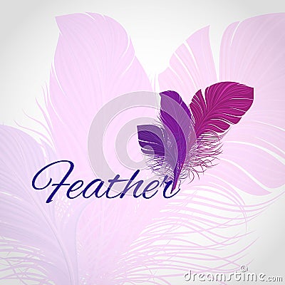 Feather Abstract Background Vector Illustration