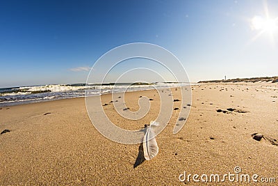 Feather on a beach of the Baltic sea with surf and blue sky Stock Photo