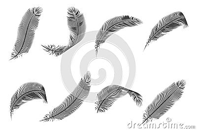 Feather bird isolated natural design vector illustration Vector Illustration