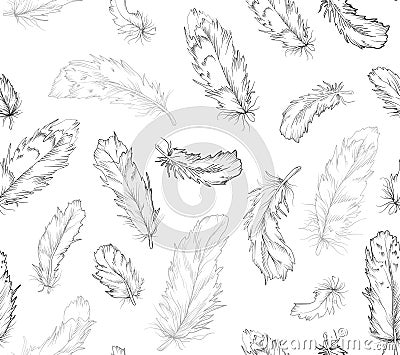 Feather bird seamless pattern. Monochrome black linear pen ink g Vector Illustration