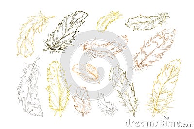 Feather bird vector hand drawn designer elements set collection. Vector Illustration