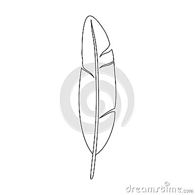 Feather bird vector outline icon. Vector illustration quill on white background. Isolated outline illustration icon of Vector Illustration