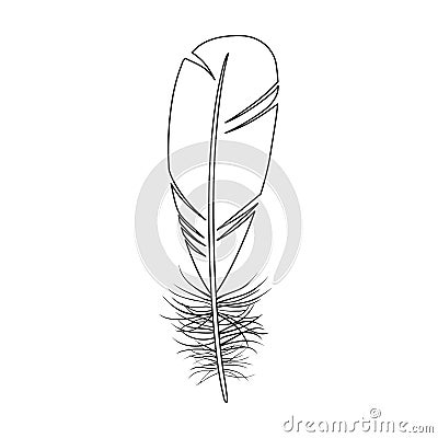 Feather bird vector outline icon. Vector illustration quill on white background. Isolated outline illustration icon of Vector Illustration