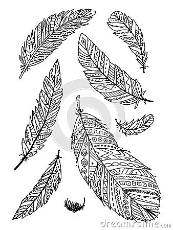 Feather collection for your design Vector Illustration