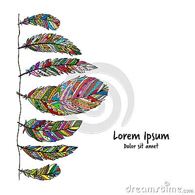 Feather collection for your design Vector Illustration