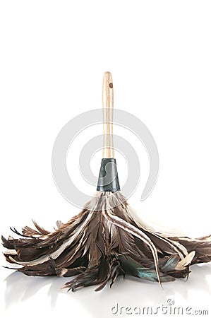 Feather duster Stock Photo