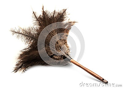 Feather Duster Stock Photo