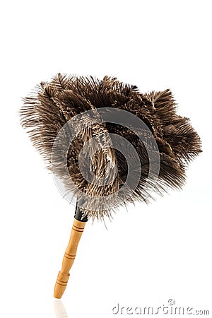 Feather duster against white background Stock Photo