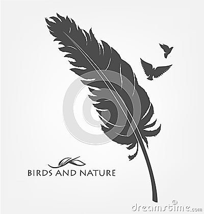 Feather with flying flock of birds Vector Illustration