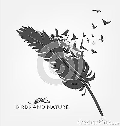 Feather with flying flock of birds Vector Illustration