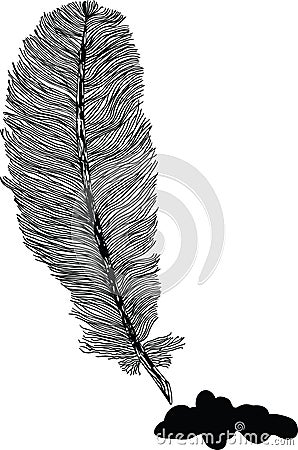 Feather illustration Vector Illustration