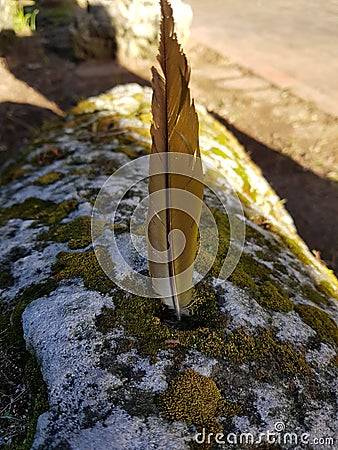 Feather into the rock Stock Photo