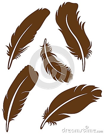 Feather Set Vector Illustration