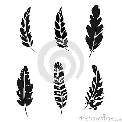 Feather set. Black silhouette feather vector illustration Vector Illustration