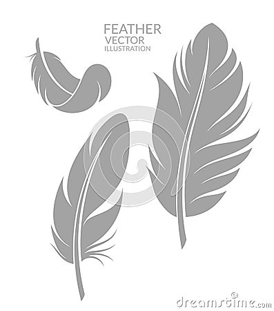 Feather. Set Vector Illustration