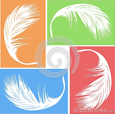 Feather vector Vector Illustration