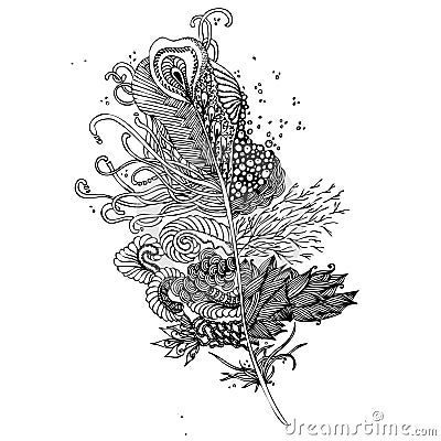 Feather on a white background. Vintage Artistically hand drawn s Vector Illustration