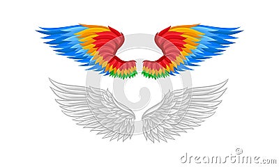 Feathered Wings of Different Flying Creature Vector Set Vector Illustration