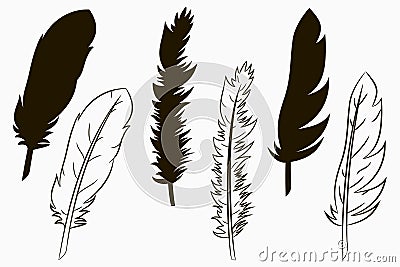 Feathers of birds. Set of silhouette and line drawn feather. Vector. Vector Illustration