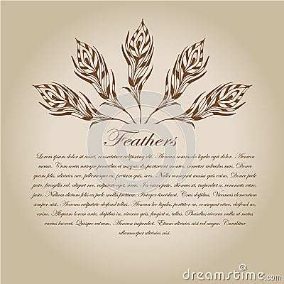 Feathers card10 Vector Illustration