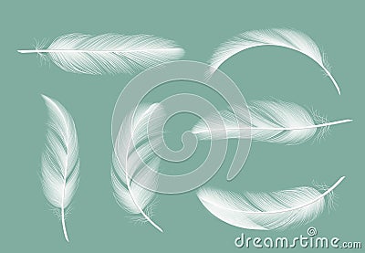 Feathers collection. Flying furry of goose vector realistic pictures isolated on transparent background Vector Illustration