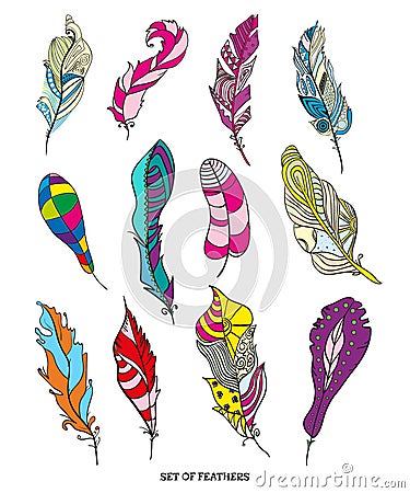 Feathers. Design Zentangle Vector Illustration