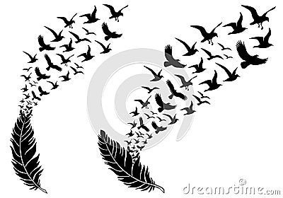 Feathers with flying birds, vector Vector Illustration