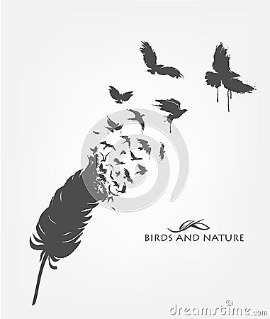 Feathers with flying flock birds Vector Illustration