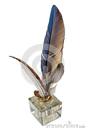 Feathers in the inkpot, on a white background Stock Photo