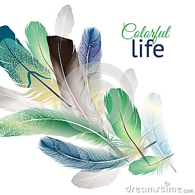 Feathers Realistic Design Vector Illustration