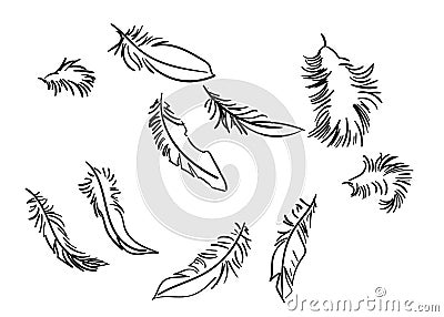 Feathers sketch set vector isolated doodle line Stock Photo