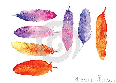 Feathers Water colors Painting Vector Vector Illustration
