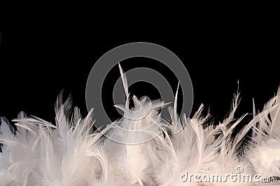 Feathery border Stock Photo