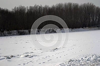 February frozen river Borcea Stock Photo