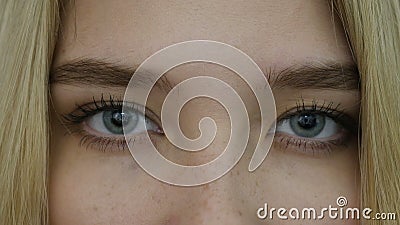 Feche acima dos olhos Feche acima dos olhos