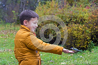 Feed bird from hand Stock Photo