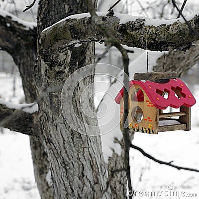 Birdhouse. Feeder for birds on a tree in winter Stock Photo