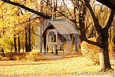 Feeders for birds on a tree in autumn public Park Stock Photo