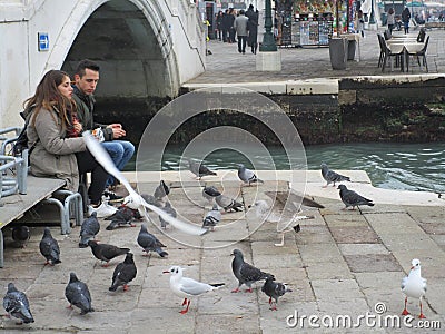 Feeding the birds Editorial Stock Photo